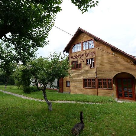 Pensiunea Flori De Camp Vatra Dornei Ngoại thất bức ảnh