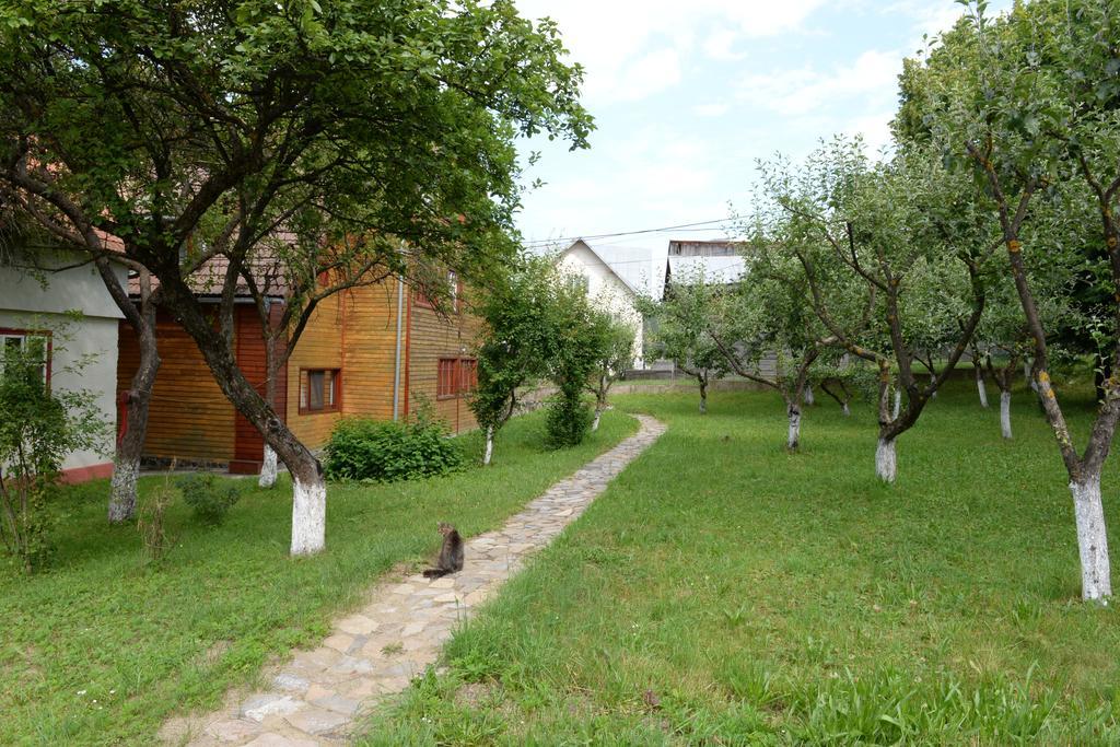 Pensiunea Flori De Camp Vatra Dornei Ngoại thất bức ảnh