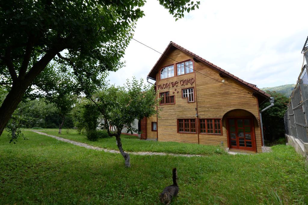 Pensiunea Flori De Camp Vatra Dornei Ngoại thất bức ảnh