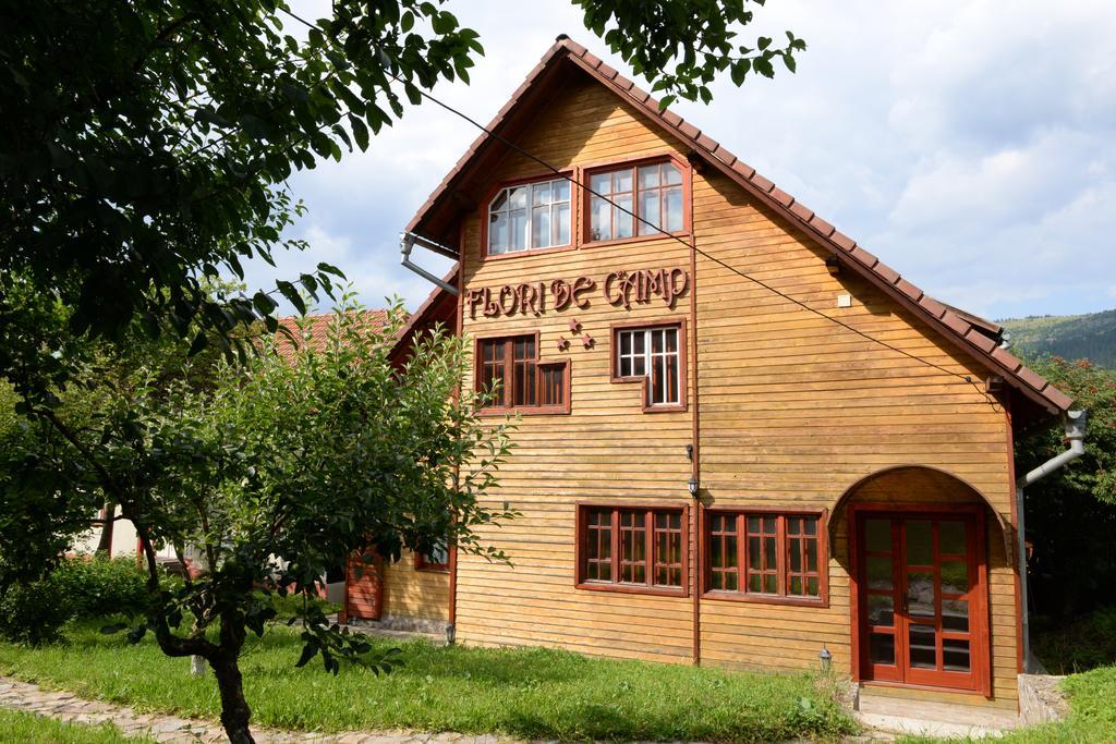 Pensiunea Flori De Camp Vatra Dornei Ngoại thất bức ảnh