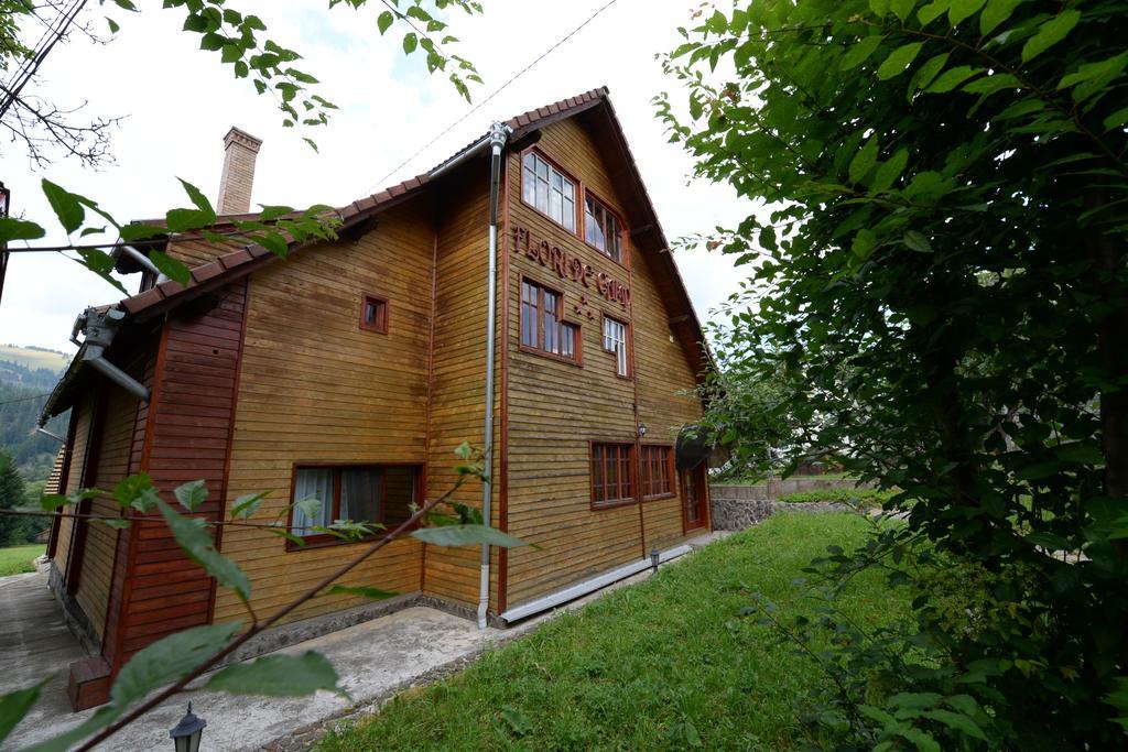 Pensiunea Flori De Camp Vatra Dornei Ngoại thất bức ảnh
