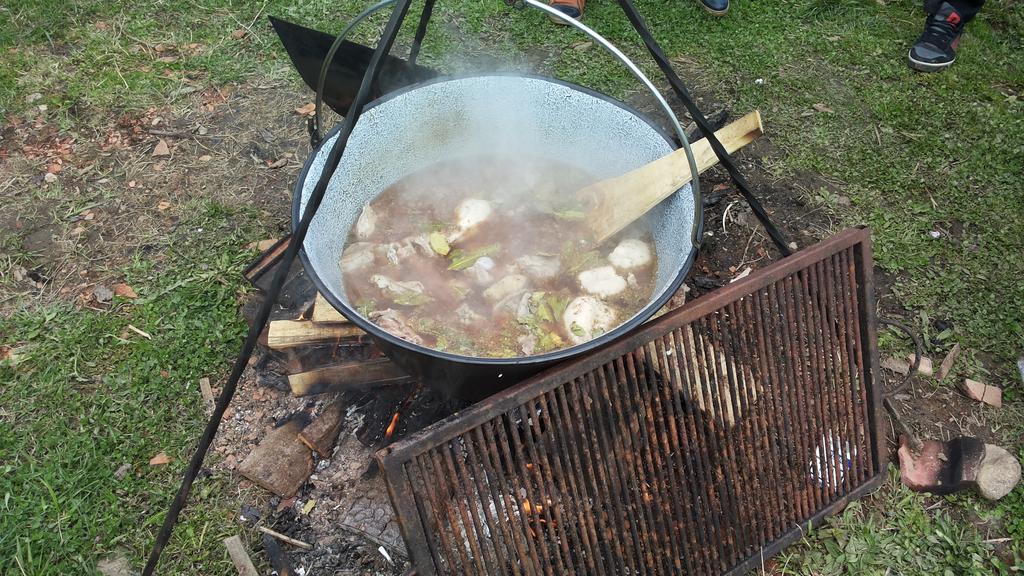 Pensiunea Flori De Camp Vatra Dornei Ngoại thất bức ảnh