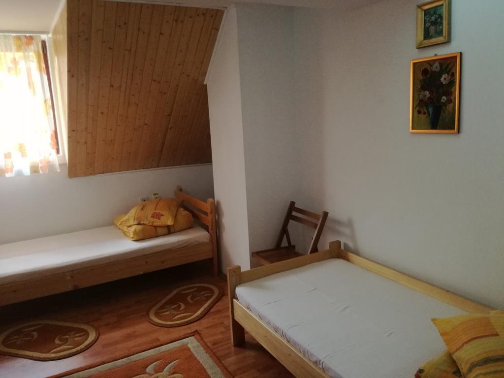Pensiunea Flori De Camp Vatra Dornei Ngoại thất bức ảnh