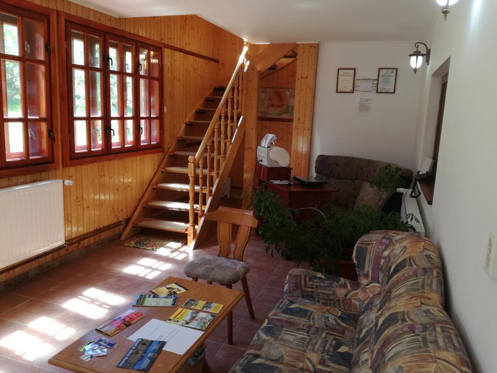 Pensiunea Flori De Camp Vatra Dornei Ngoại thất bức ảnh