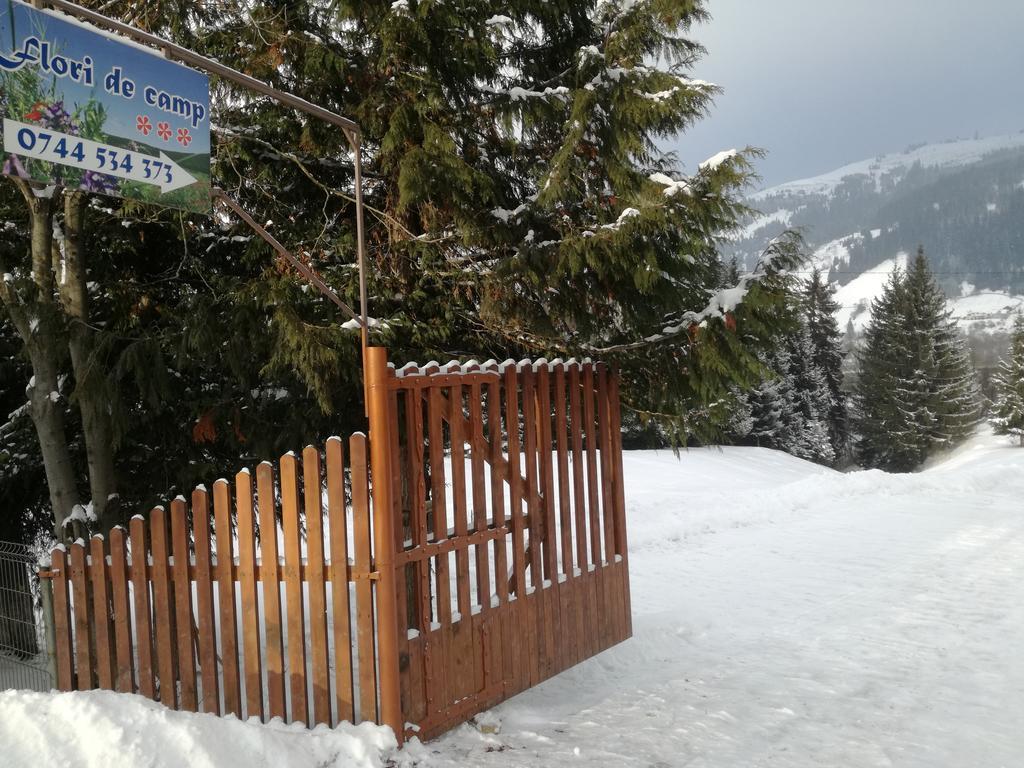 Pensiunea Flori De Camp Vatra Dornei Ngoại thất bức ảnh